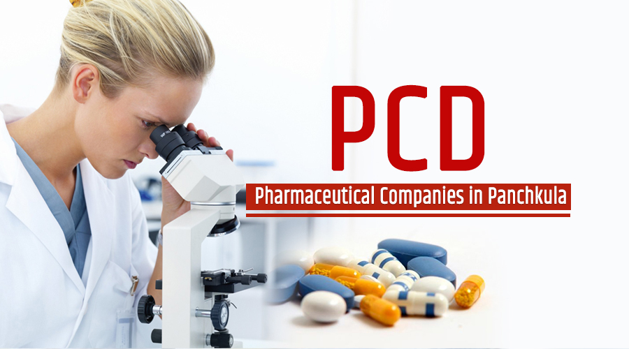 Top 10 PCD Pharmaceutical Companies in Panchkula